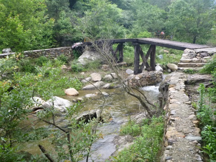 p1000649_.jpg