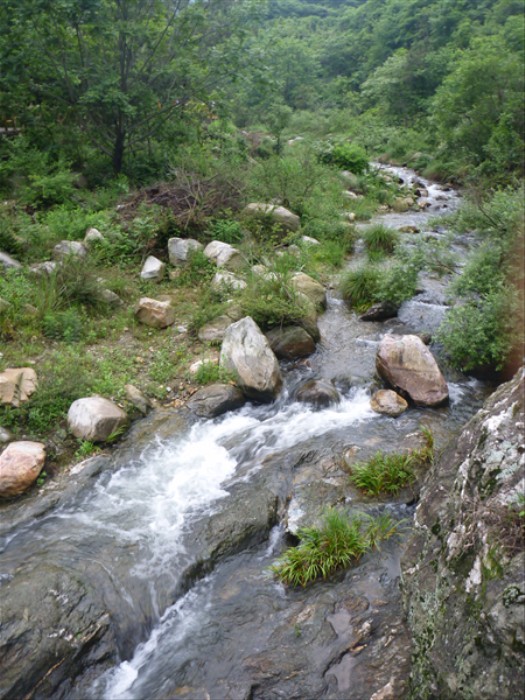 p1000651_.jpg