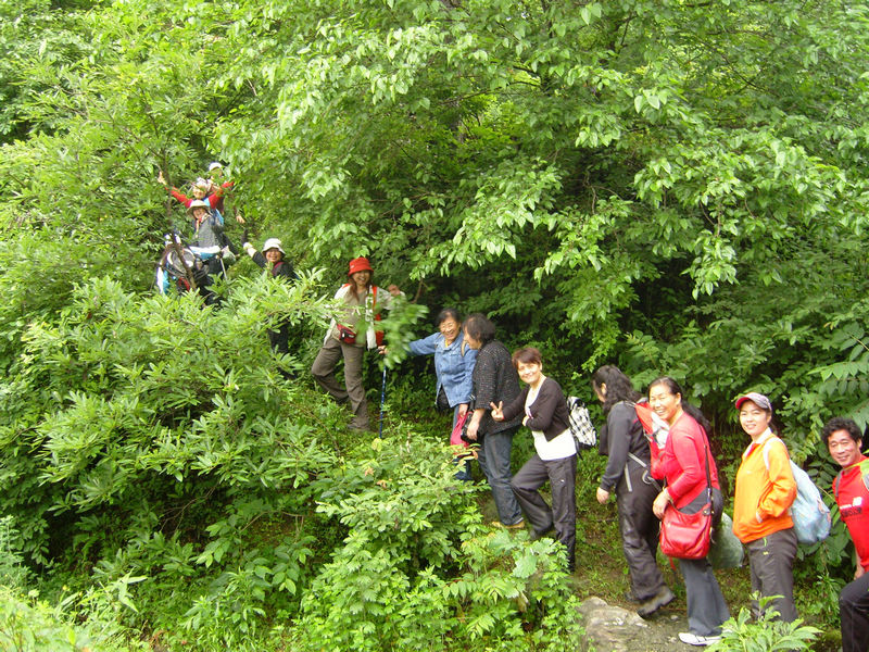  snc10064.jpg