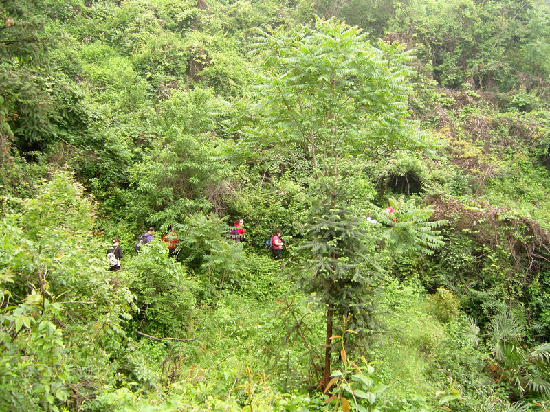  snc10092.jpg