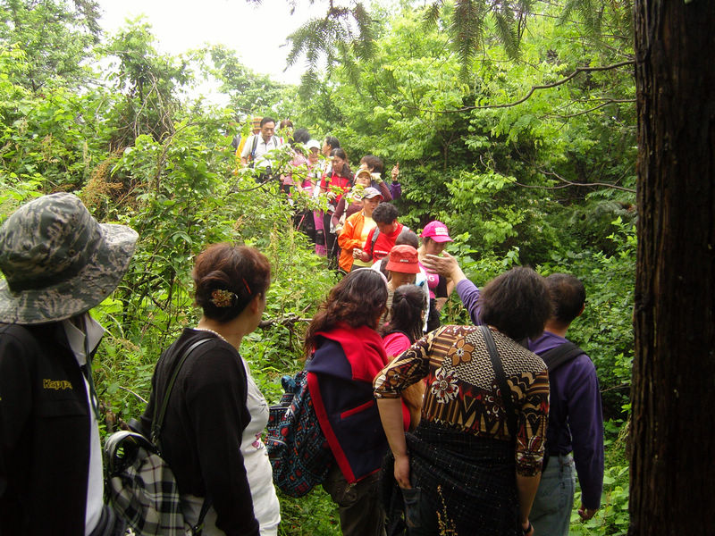  snc10102.jpg