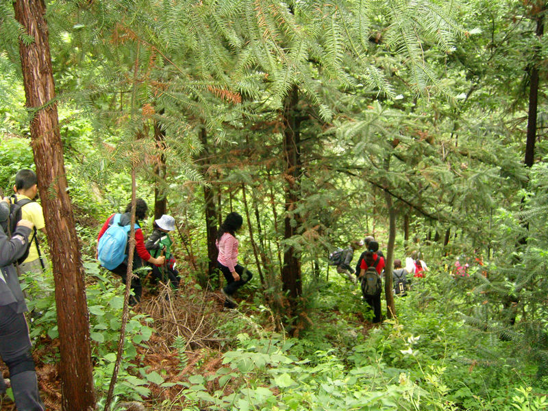  snc10119.jpg