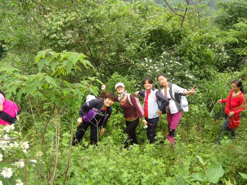  snc10126.jpg