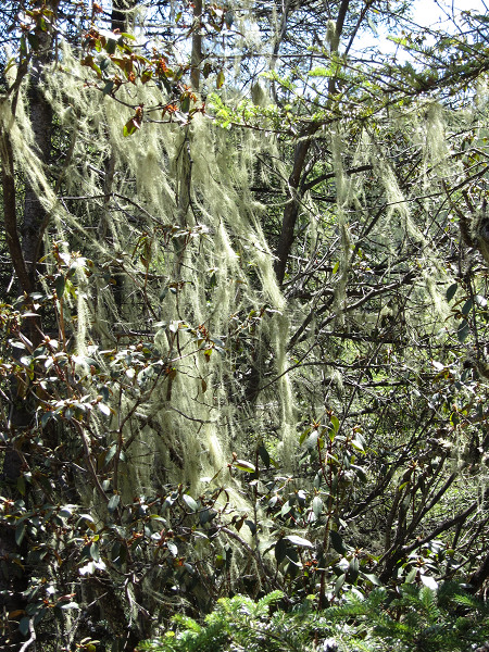 img_1717.jpg