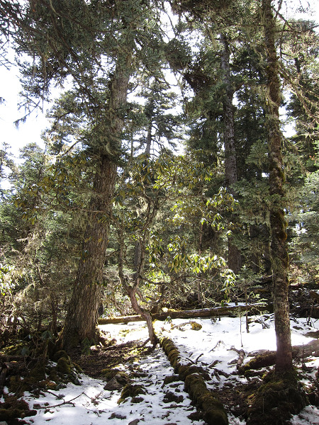 img_1725.jpg