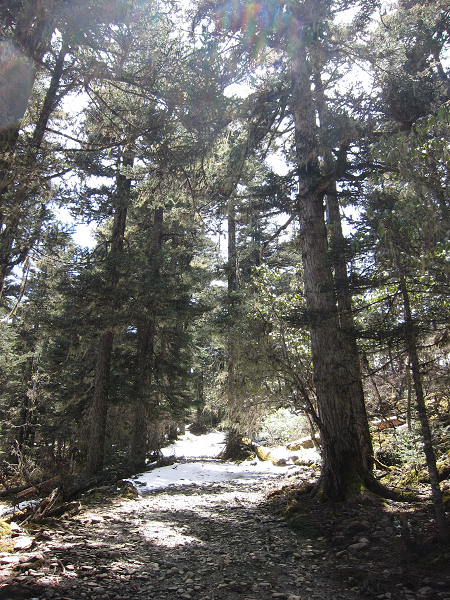img_1726.jpg