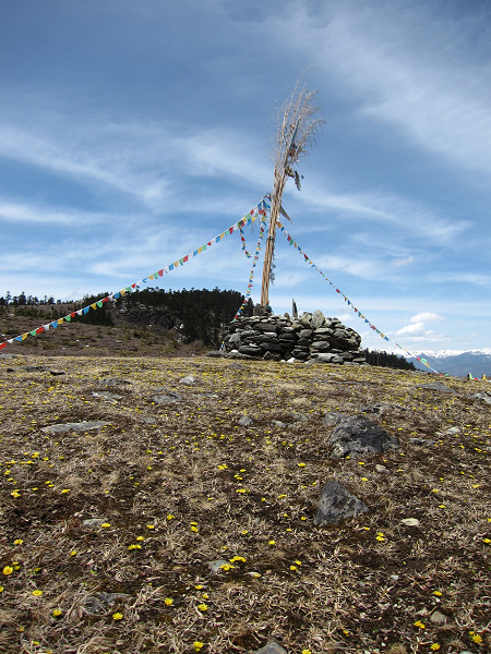 img_1746.jpg