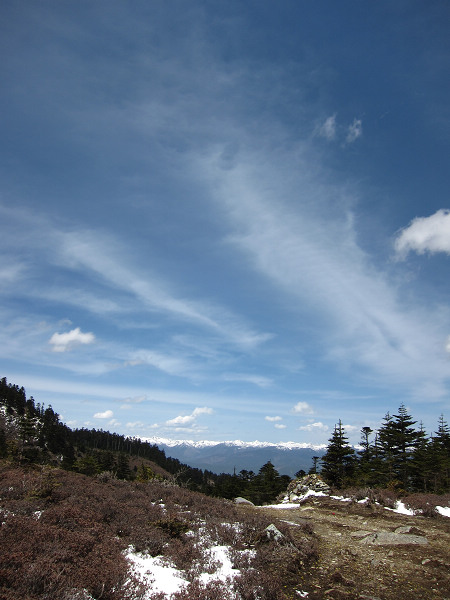 img_1749.jpg