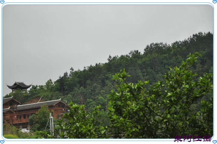 dsc_1357.jpg