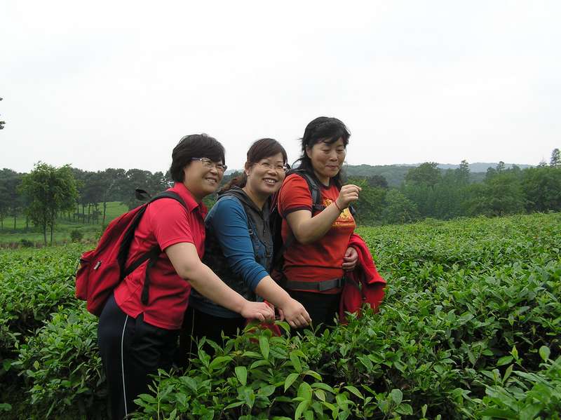 p1010023.jpg