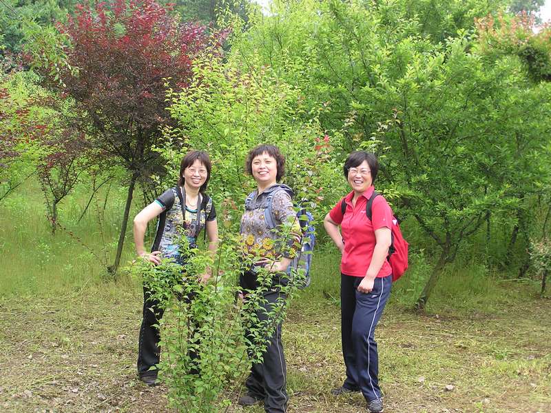 p1010060.jpg