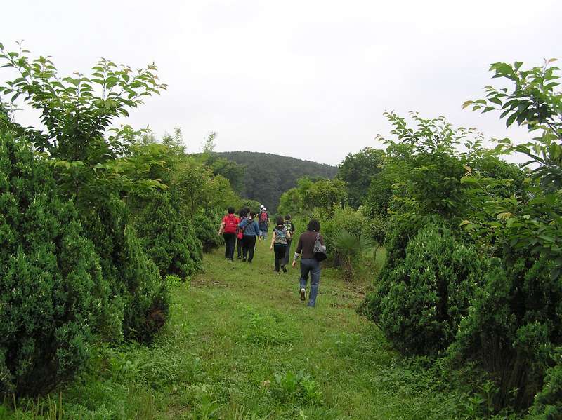 p1010066.jpg