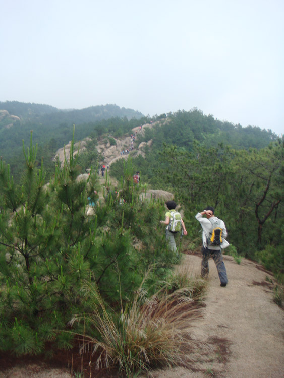 dsc01551.jpg