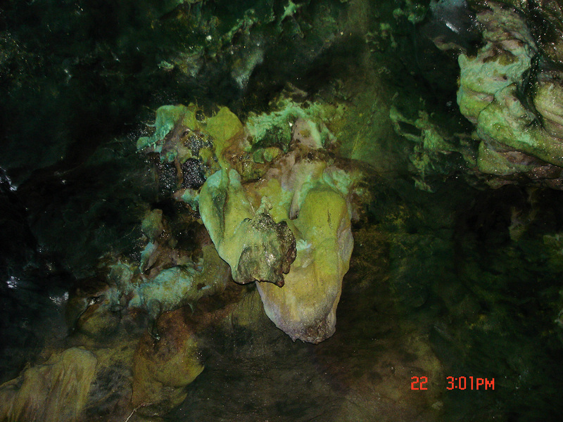 dsc01667x.jpg