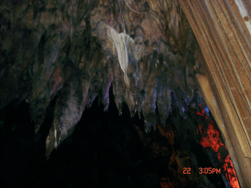 dsc01672x.jpg