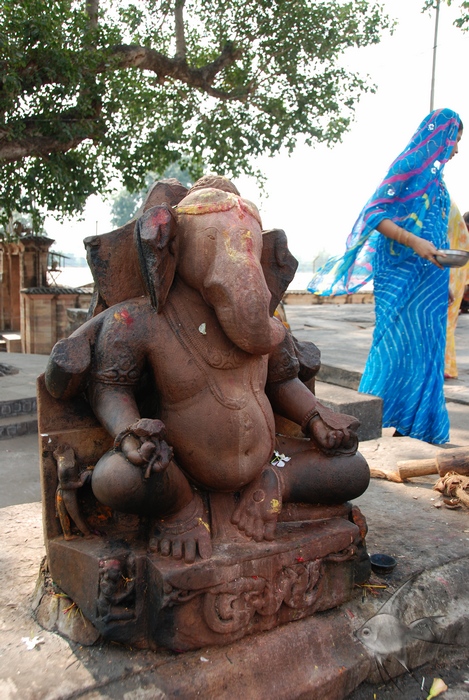 11061427.jpg