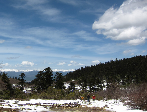 img_1764.jpg