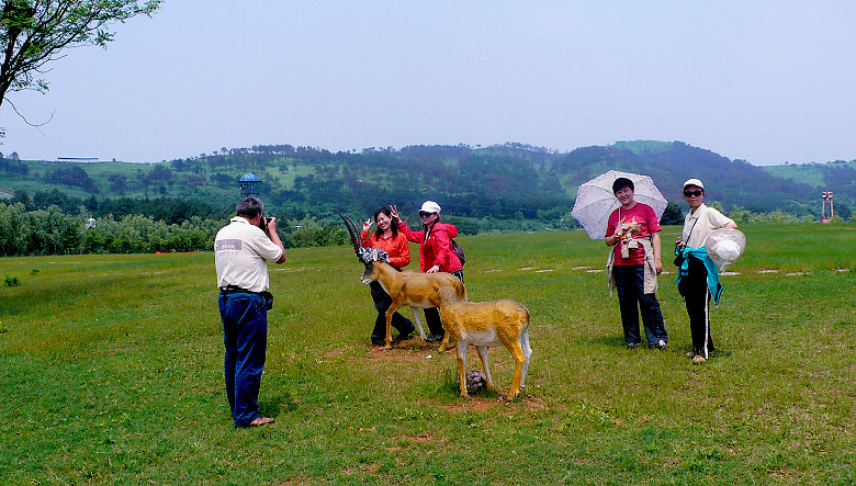 p1060951.jpg