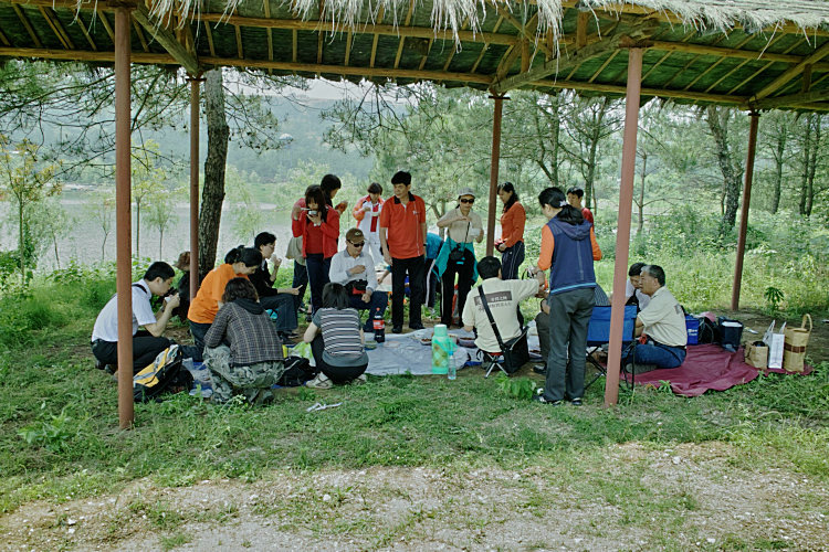 sdim0104.jpg