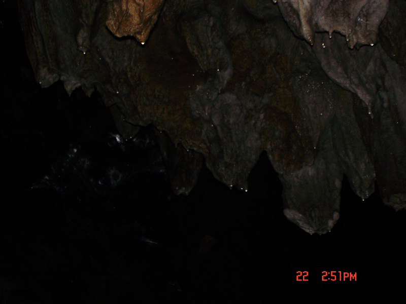 dsc01658x.jpg