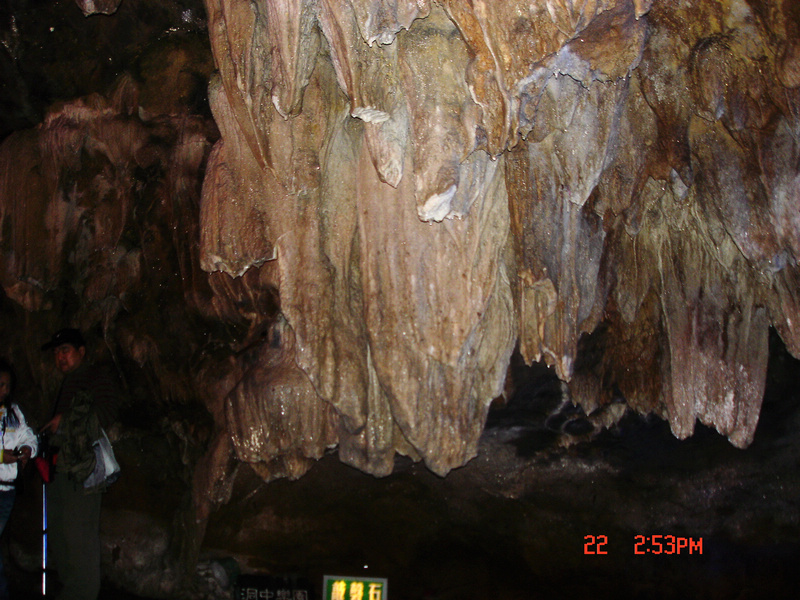 dsc01661x.jpg
