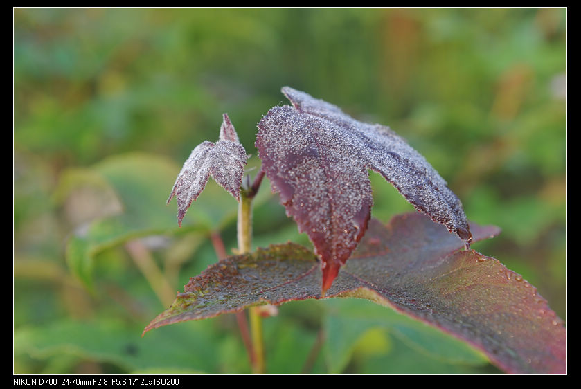 dsc_1829.jpg