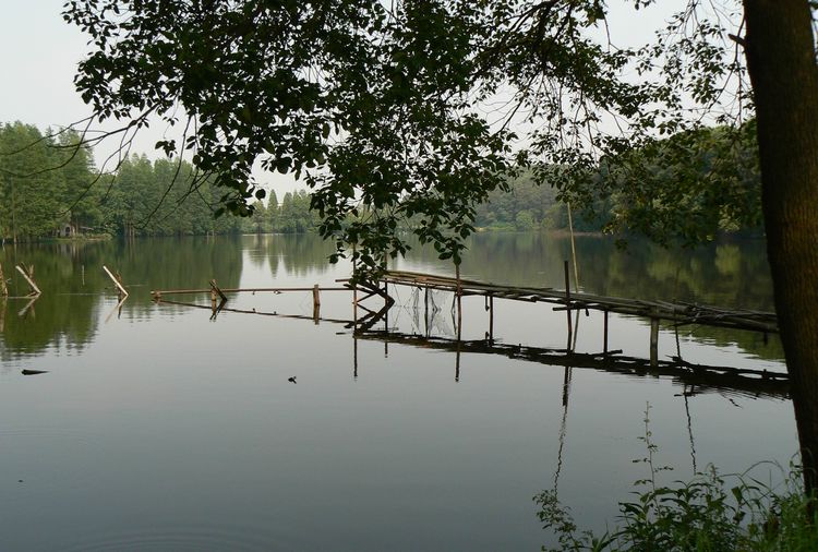 p1240173.jpg
