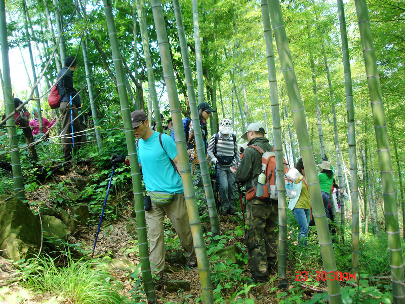 dsc01742x.jpg