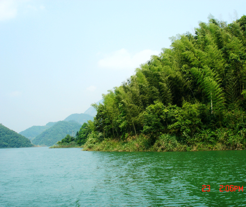 dsc01770x.jpg