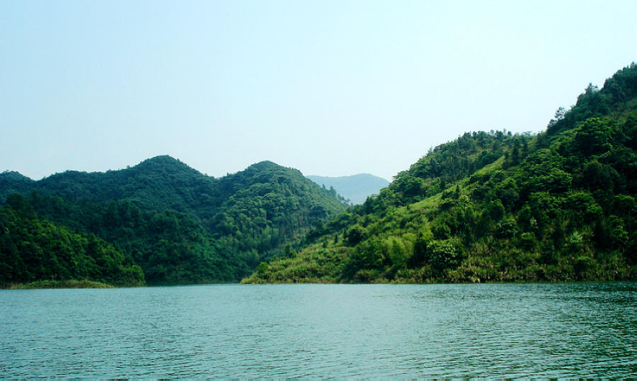 dsc01771x.jpg
