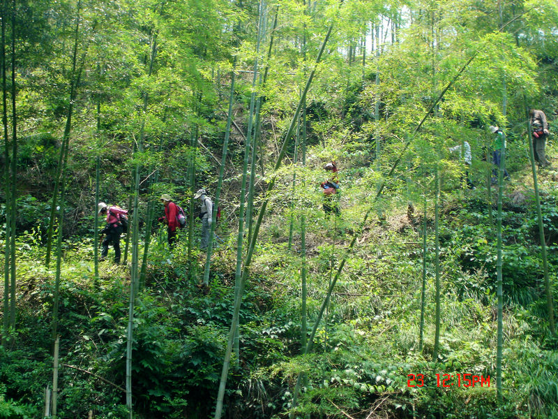 dsc01767x.jpg