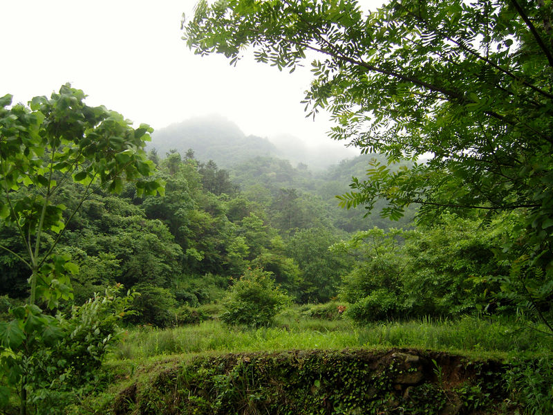  snc10060.jpg