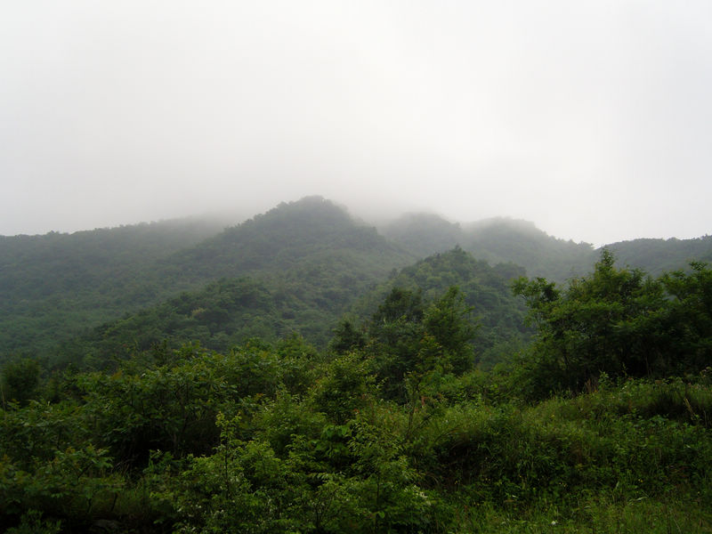  snc10066.jpg
