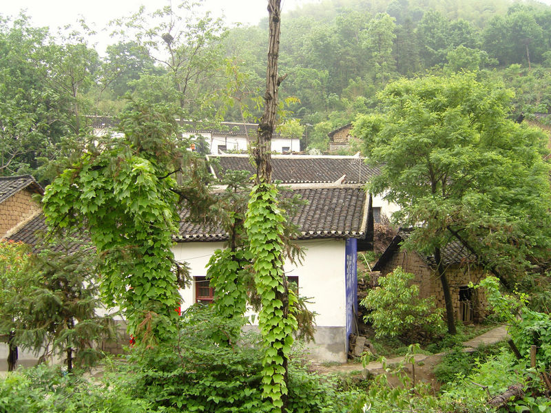  snc10082.jpg