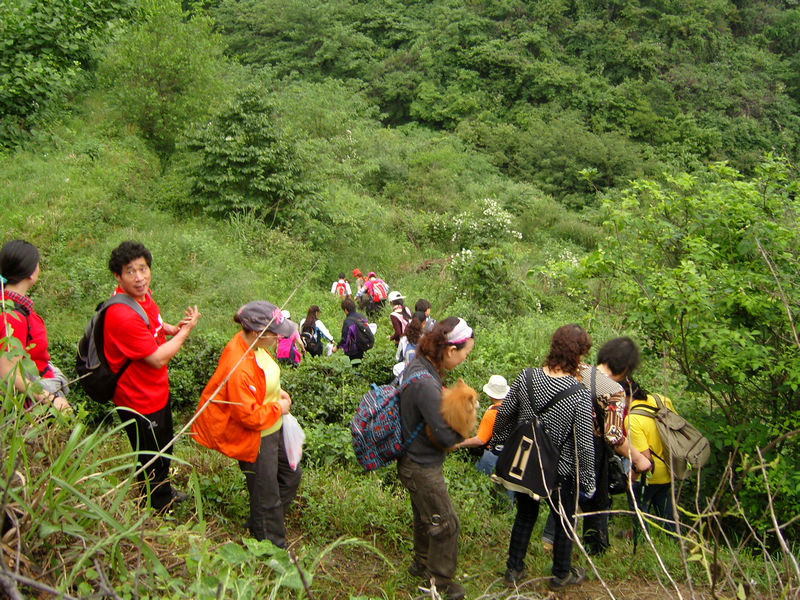  snc10120.jpg
