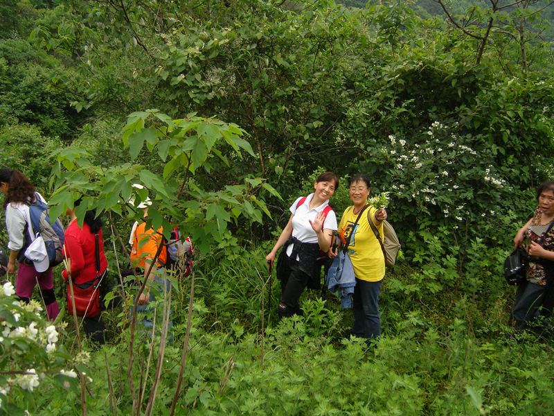  snc10129.jpg
