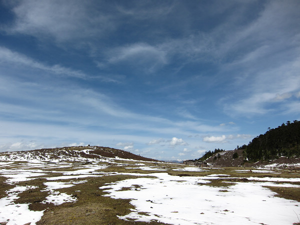 img_1833.jpg