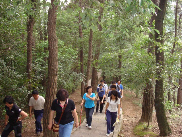 dsc04872_Ӱ_1.jpg