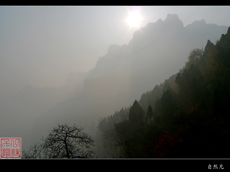 l1070711.jpg