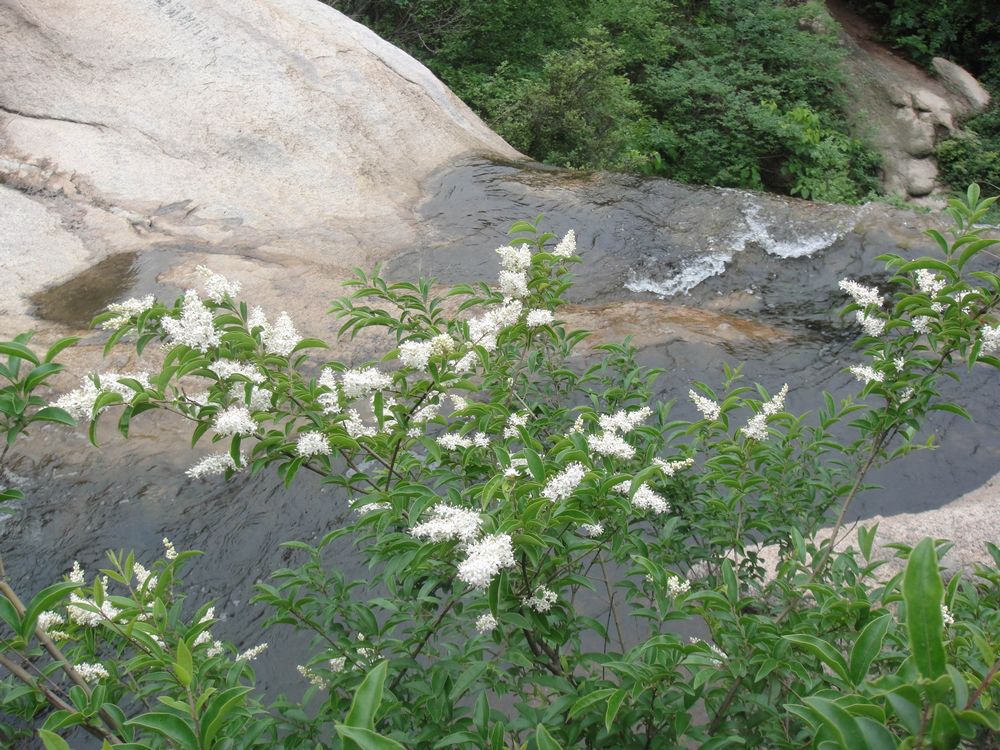 dsc00102.jpg