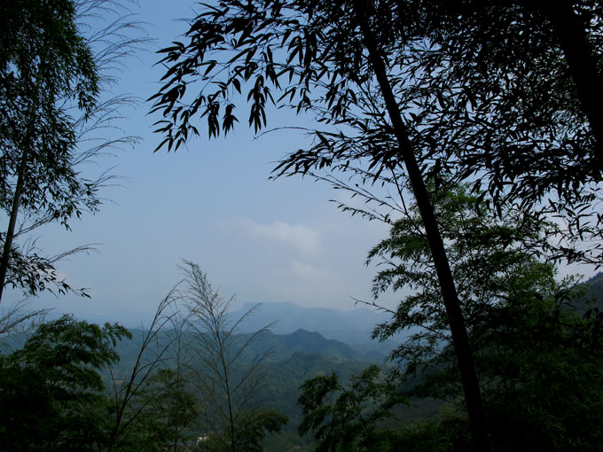 yuen 121.jpg