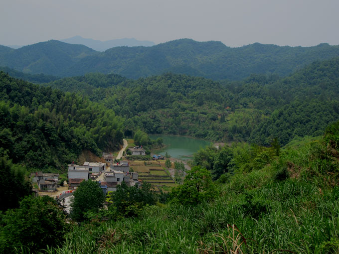 yuen 195.jpg