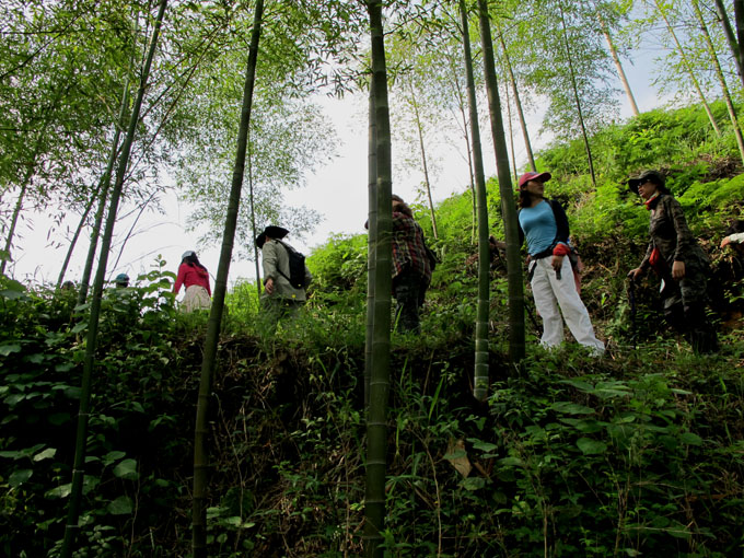 yuen 124.jpg