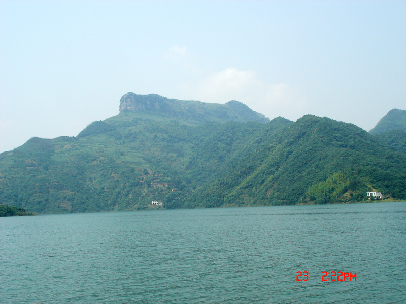 dsc01784x.jpg