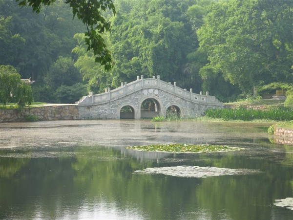 p1000811_.jpg