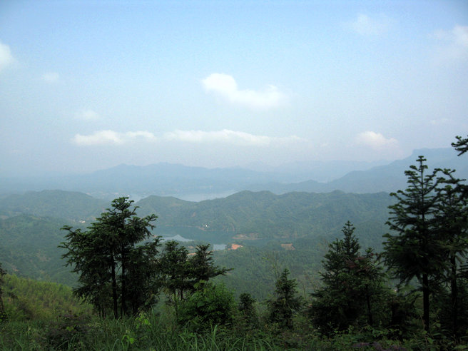 71.jpg
