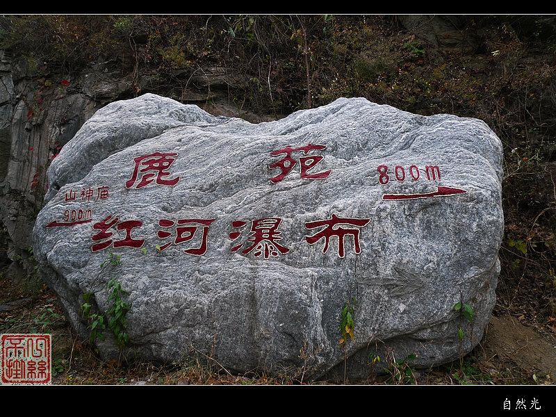 l1070789.jpg