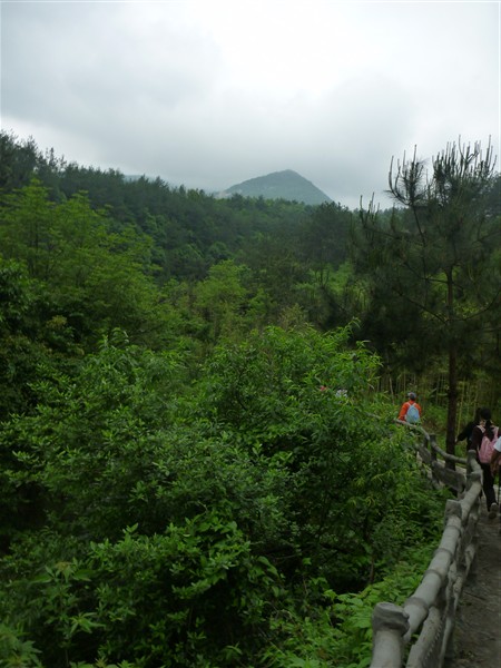 p1000672_.jpg