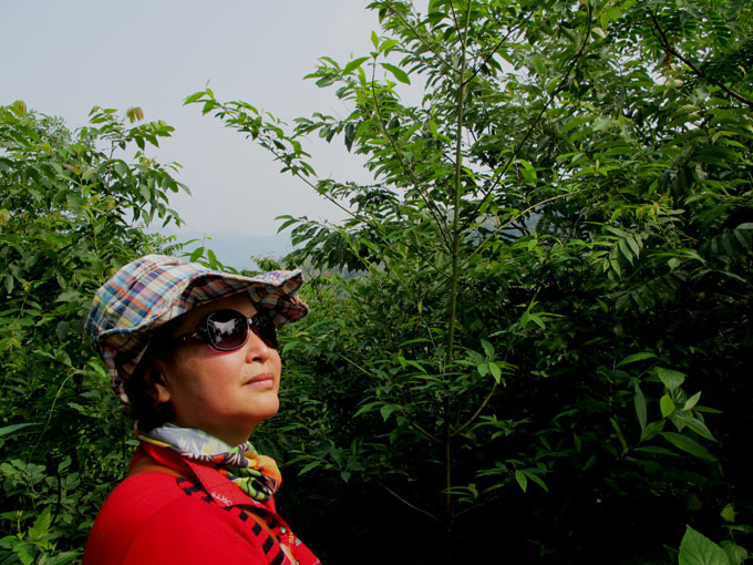 yuen 163.jpg