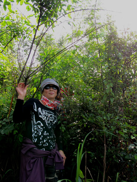yuen 157.jpg